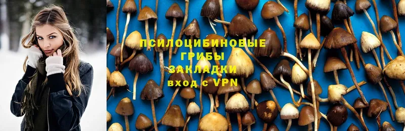 Галлюциногенные грибы MAGIC MUSHROOMS  Белореченск 